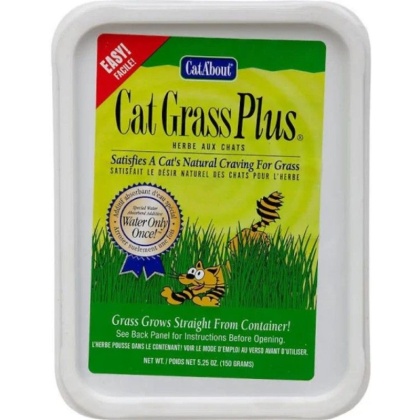 Gimborn Cat-A'bout Cat Grass Plus Multi-Cat - 1 count