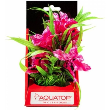 Aquatop Vibrant Passion Aquarium Plant Rose - 6\