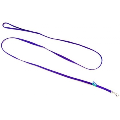 Coastal Pet Nylon Lead - Purple - 6' Long x 3/8
