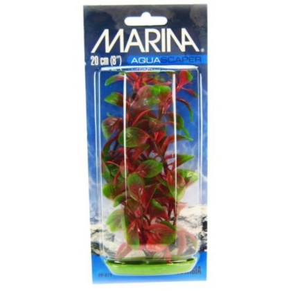 Marina Red Ludwigia Plant - 8